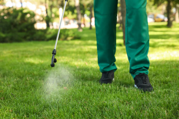 Best Best Pest Control Companies  in Battle Creek, NE