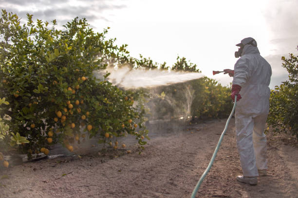 Best Pest Inspection Near Me  in Battle Creek, NE