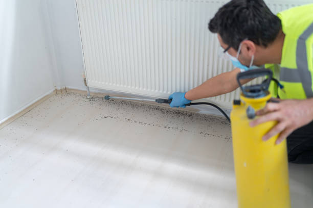 Best Best Pest Control Companies  in Battle Creek, NE